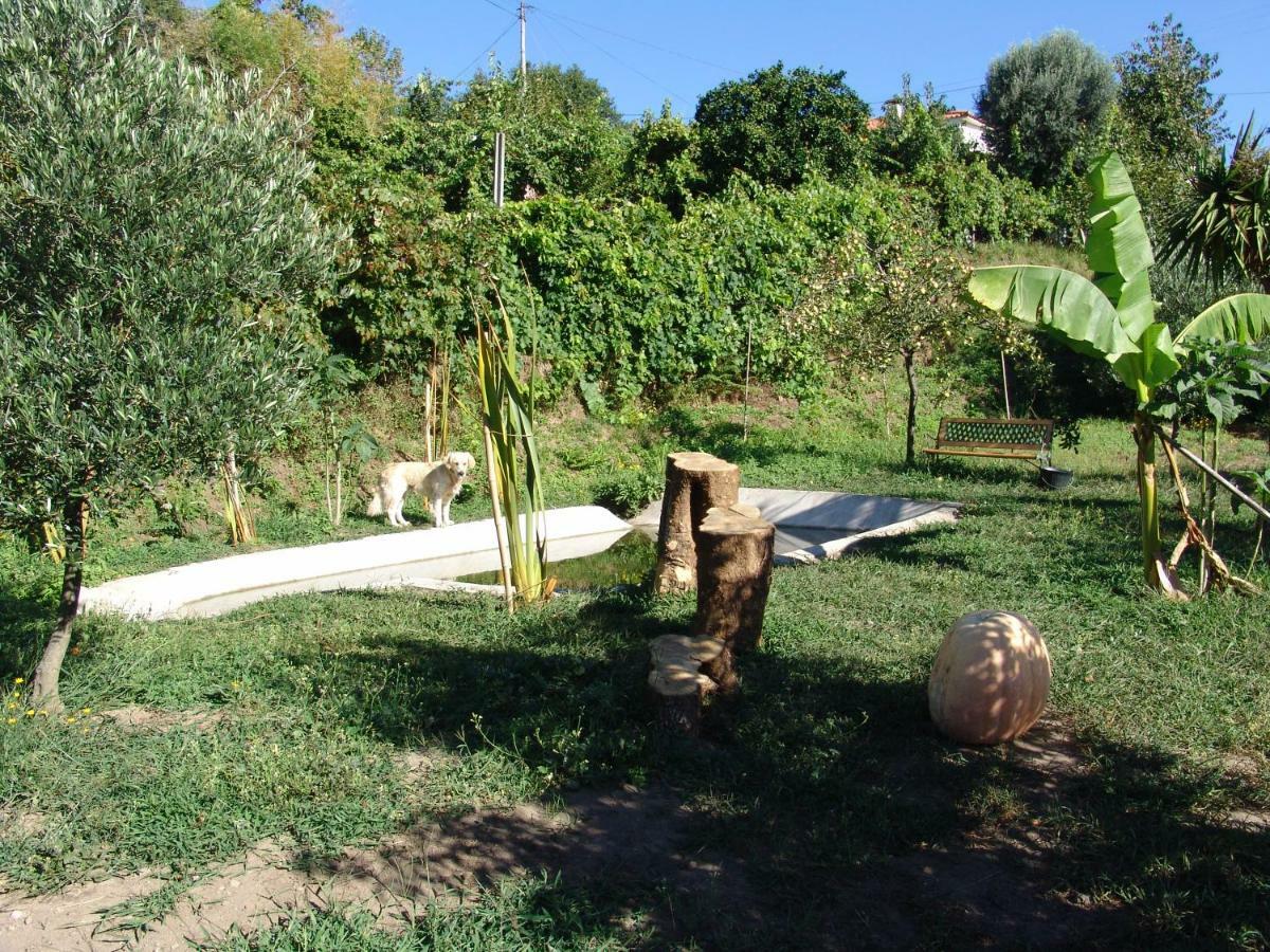 דירות ארקוס דה ואלדבז Quinta De Santa Marinha מראה חיצוני תמונה